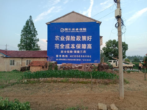 宁海墙体广告为何受追捧？